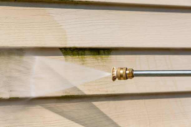 Best Roof Power Washing Services  in Cedarville, OH