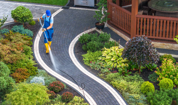 Best Pressure Washing Near Me  in Cedarville, OH
