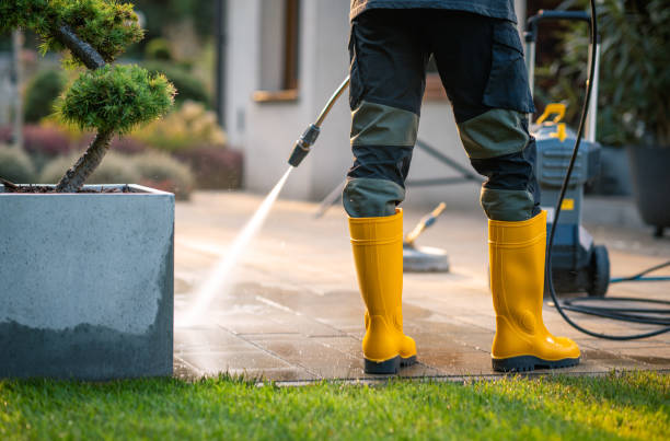 Best Power Washing Near Me  in Cedarville, OH